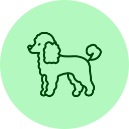 Pet Grooming
